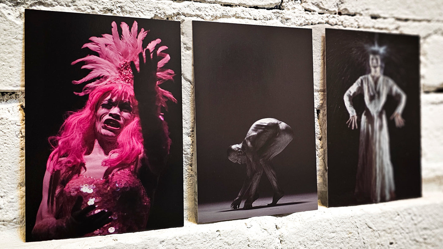Postcards - Butoh Masters Collection